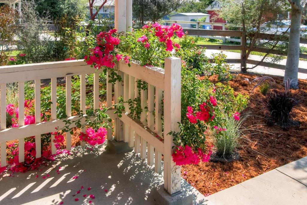 Serene Bungalow-Style Home In Point Reyes Station! Zewnętrze zdjęcie